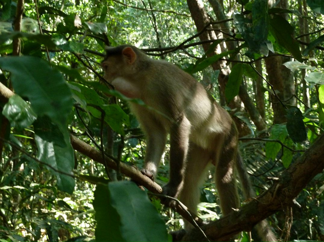 Анна Чесанова | Санкт-Петербург