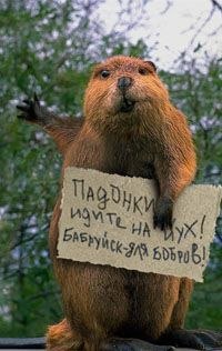 Дима Зимовец | 