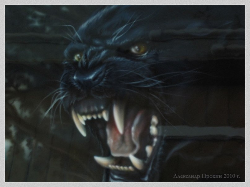 Наталия Кошелева | Тюмень