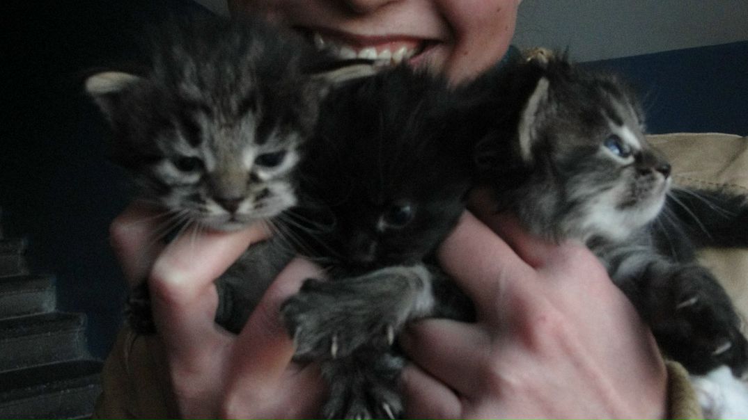 №64, Светлана Согласова, Москва №64, Светлана Согласова, Москва