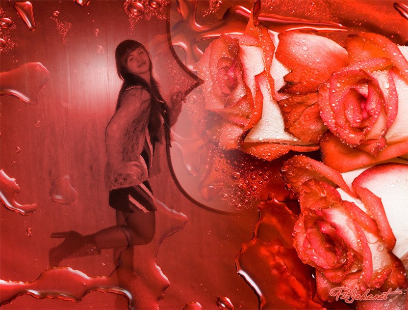 Дарина Перро | Киев