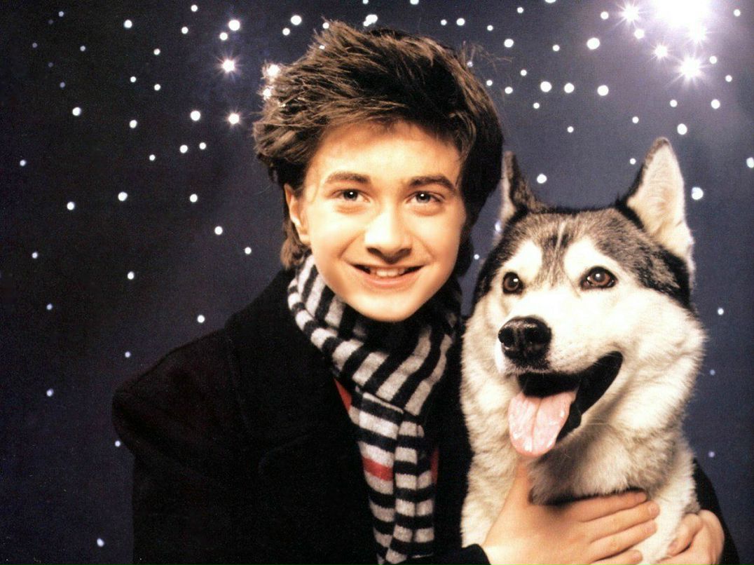 Rey Wagner - Hawk - | Москва