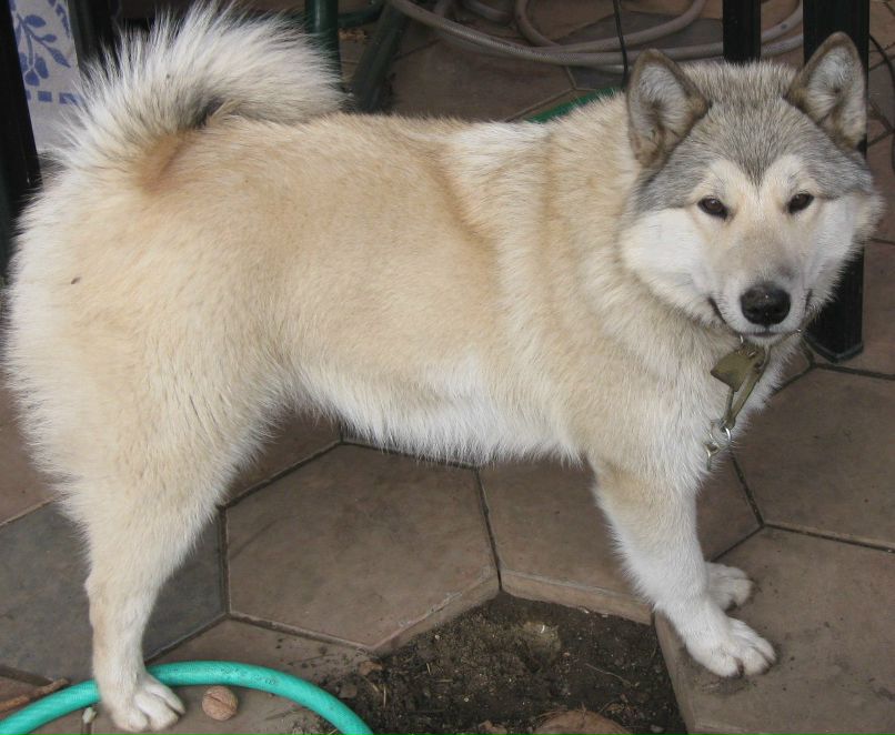 Ольга Скалецкая | Одесса