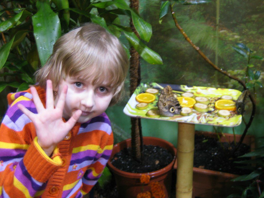 Павел Ахременко | Санкт-Петербург