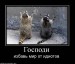 Christina ))) фотография #3 (источник - https://vk.com/id88790554)