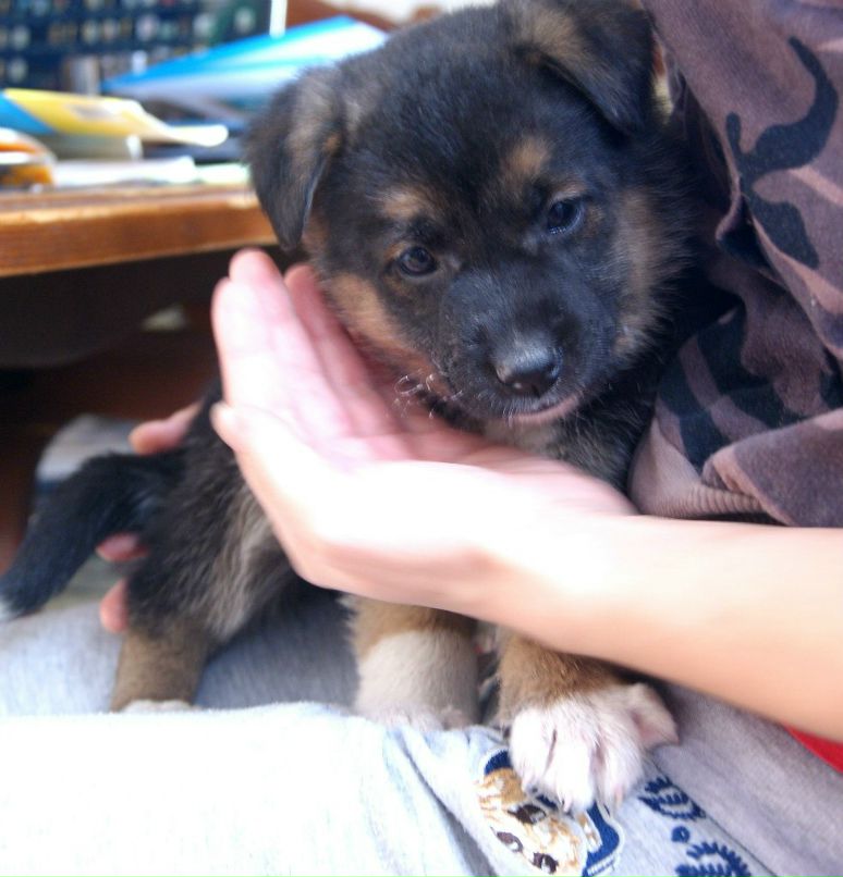 Игорь Кононов | Москва