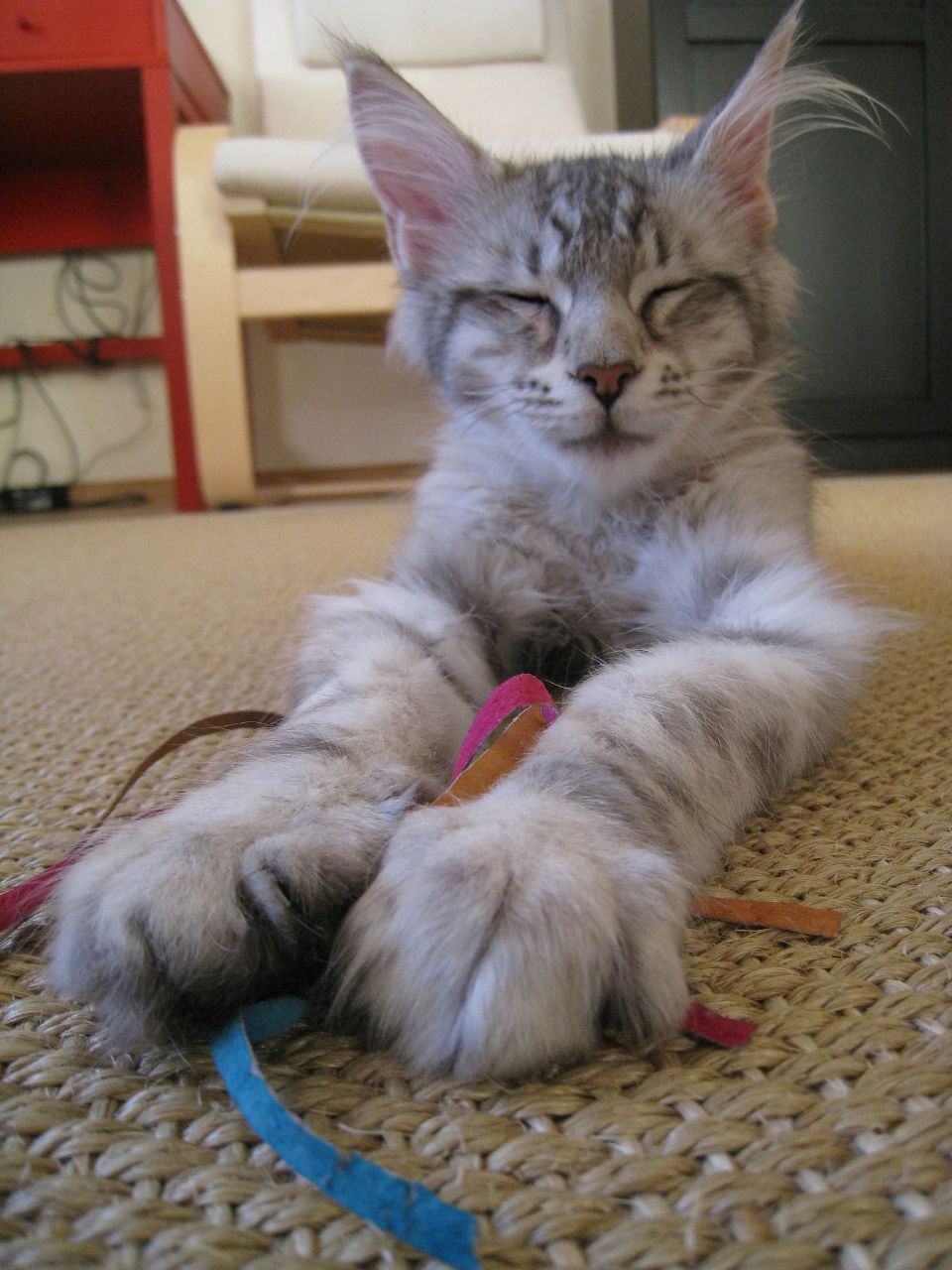 Елена Соловьева | Казань