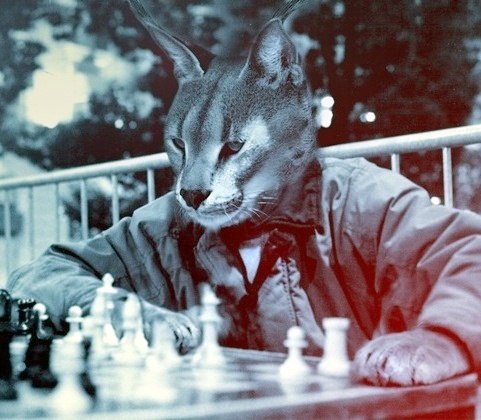 Артем Неводничий Однако | 