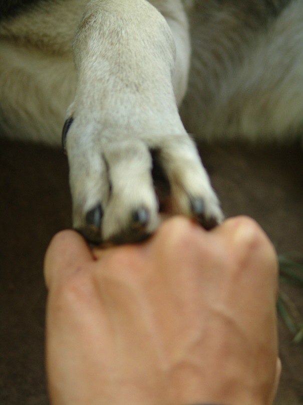 Больше Нет | Москва