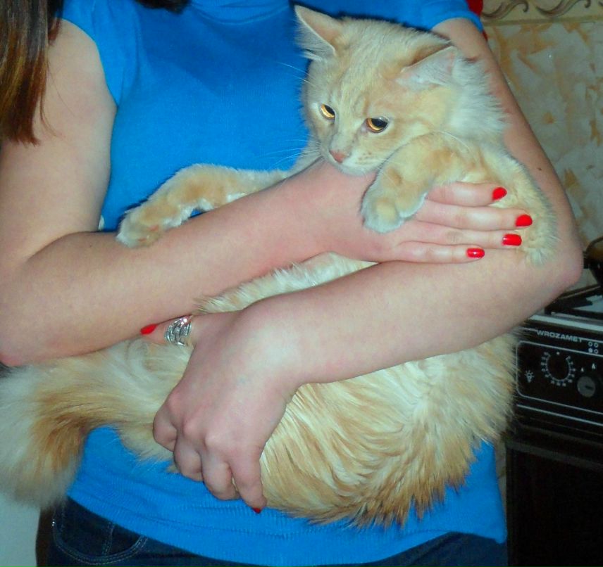 Валентина Тетюхина | Луганск