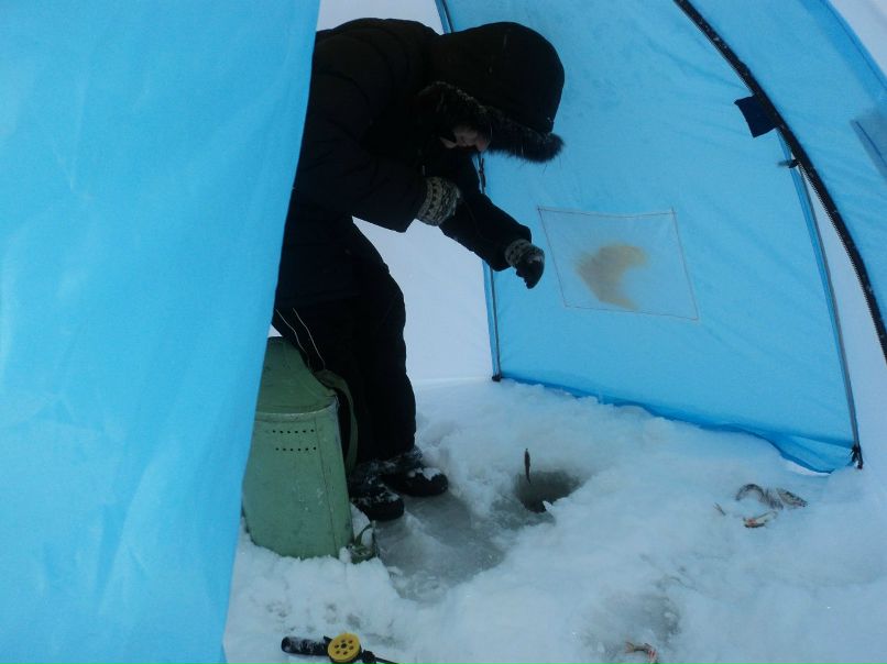 Сергей Власов | Архангельск