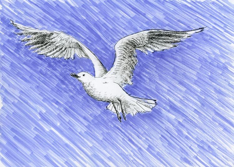 Нина Голембовская | Reggio di Calabria