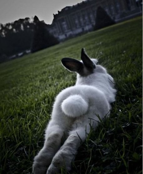 Мария Артова :)Happy:) | 