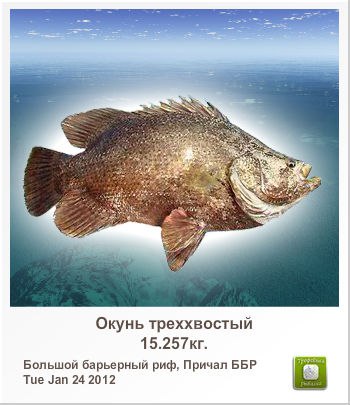 Владимир Куличенко | Арциз