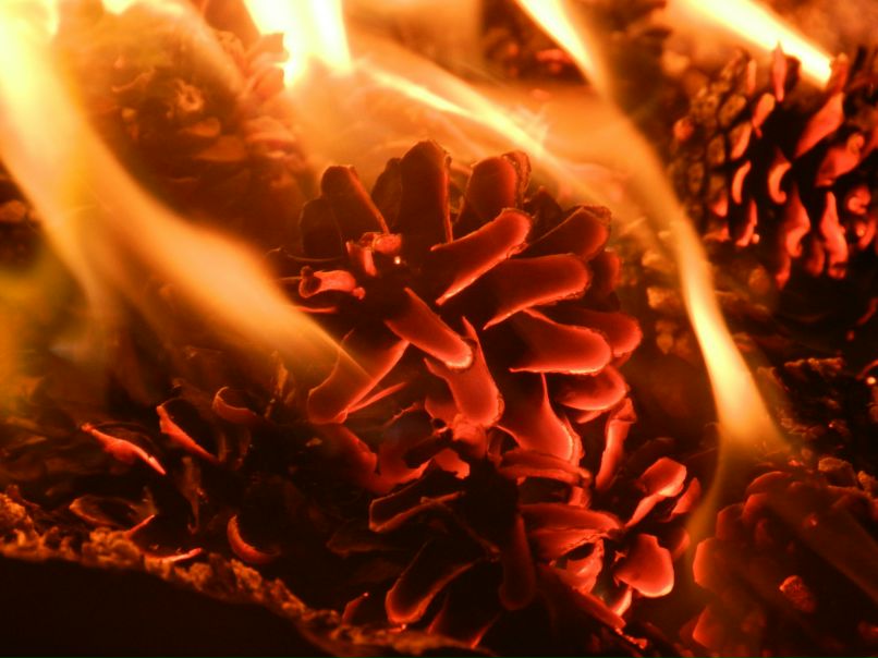 Сергей Приходько | Донецк