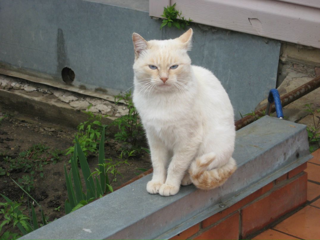 Алексей Фоменко | Камышин