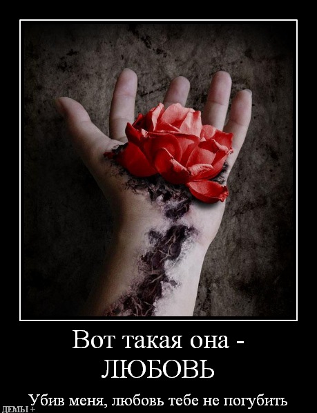 №1, Екатерина Волкова №1, Екатерина Волкова