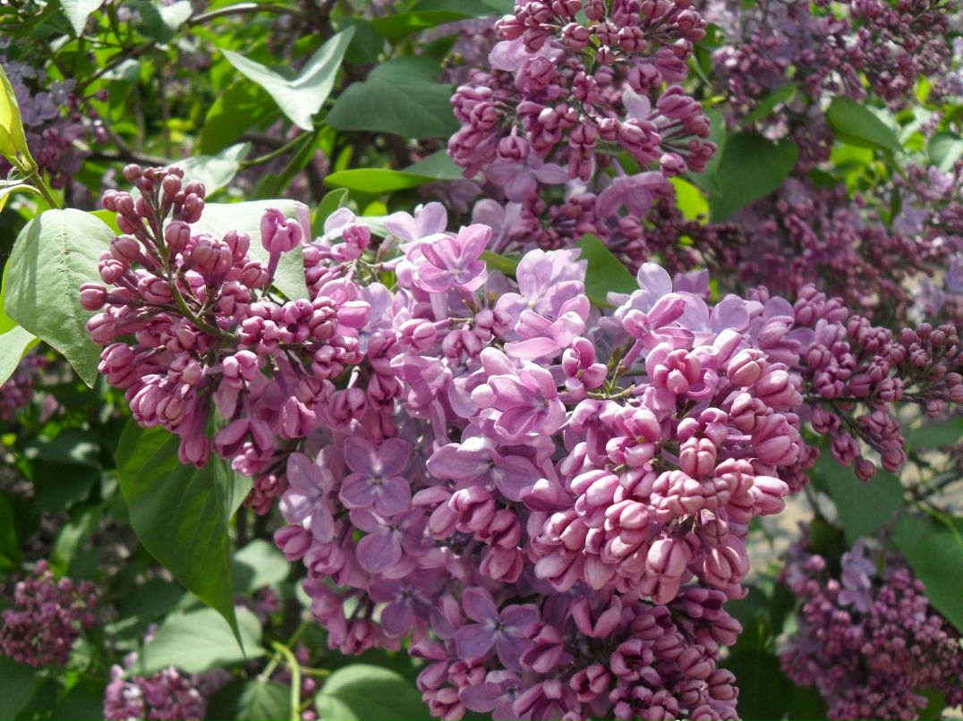 Екатерина Иванова | Москва