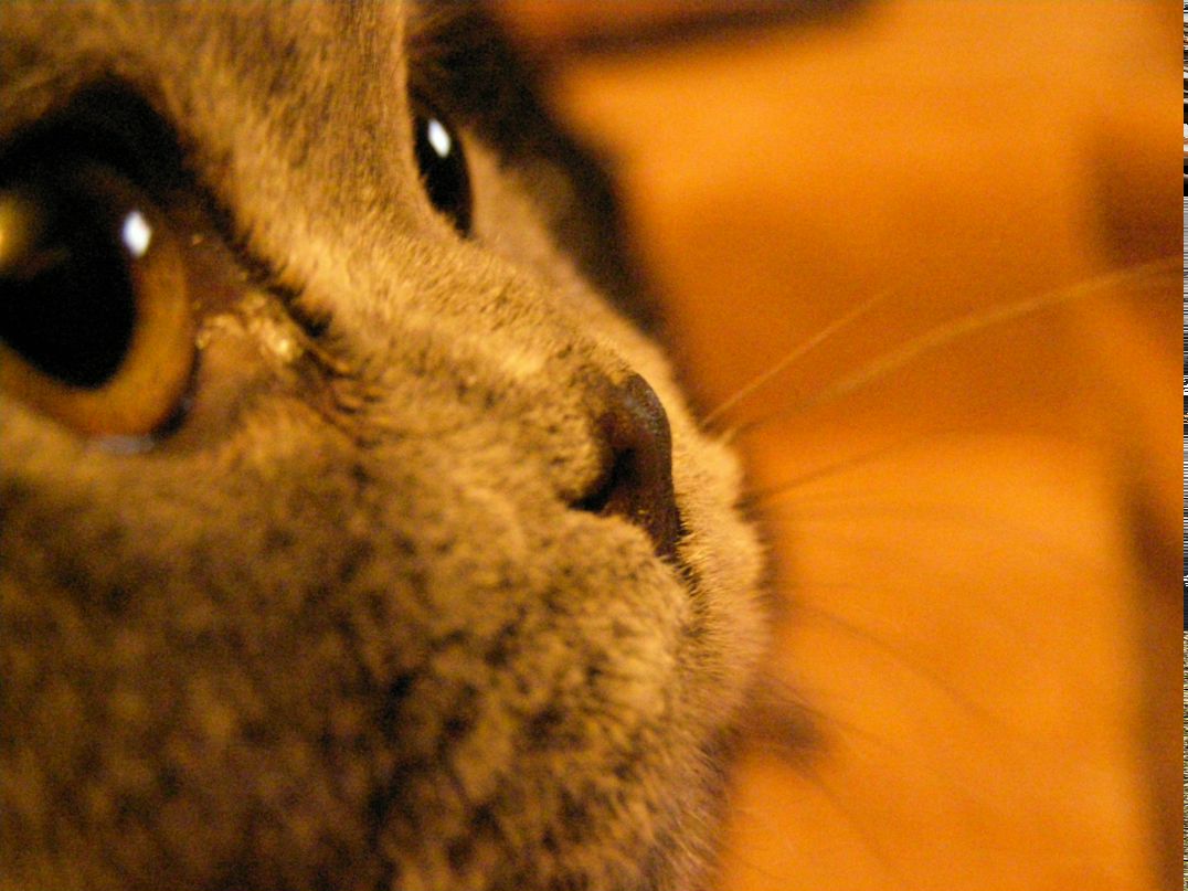 Христя Ящишин | Львов