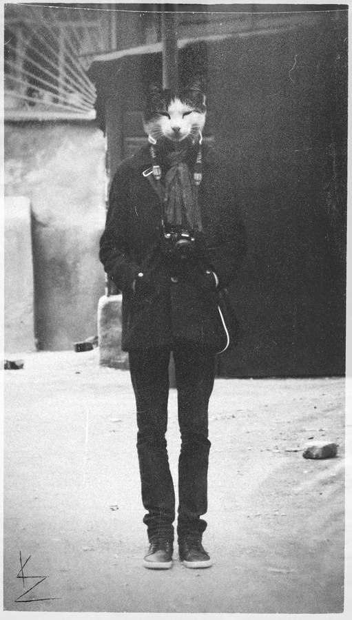 Максим Чигвинцев | 