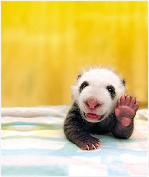 Виталий Андреев ッ | Воронеж