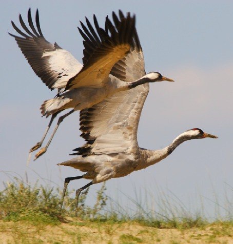 Светлана Зачитайлова | Краснодар