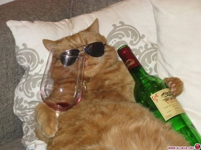 Александр Медарь mynystr | Киев