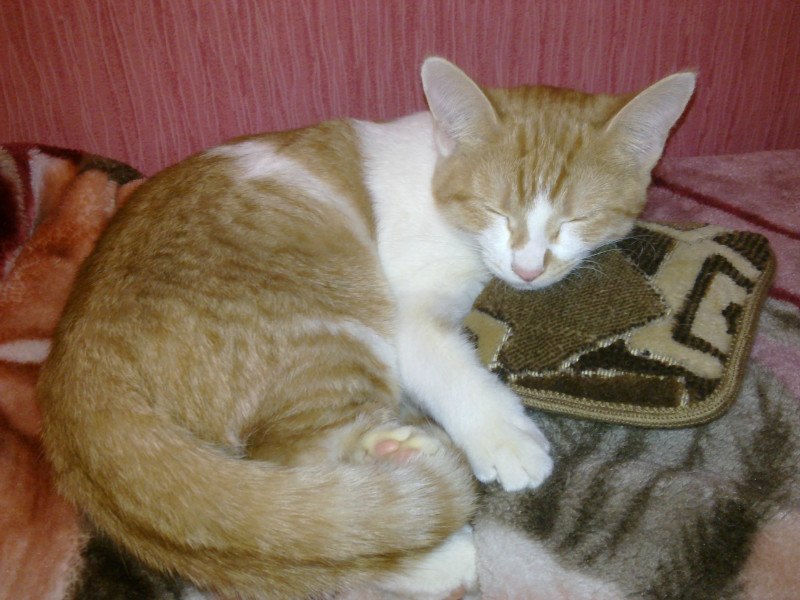 Татьяна Щербакова | Москва