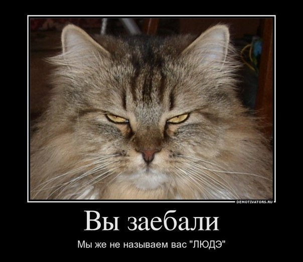 Екатерина Елфимова | Москва