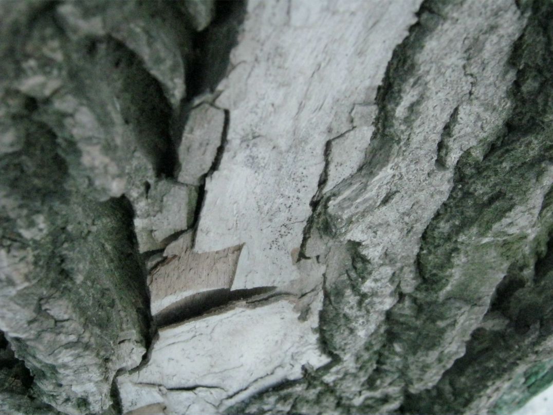 Николай Юрченко | Екатеринбург