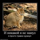 Фотография Ковалёва Дениса