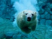 Фотография Виталий Найденов
