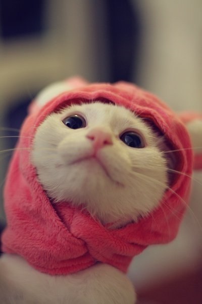 Яна Субаева |econaturekot| | Санкт-Петербург