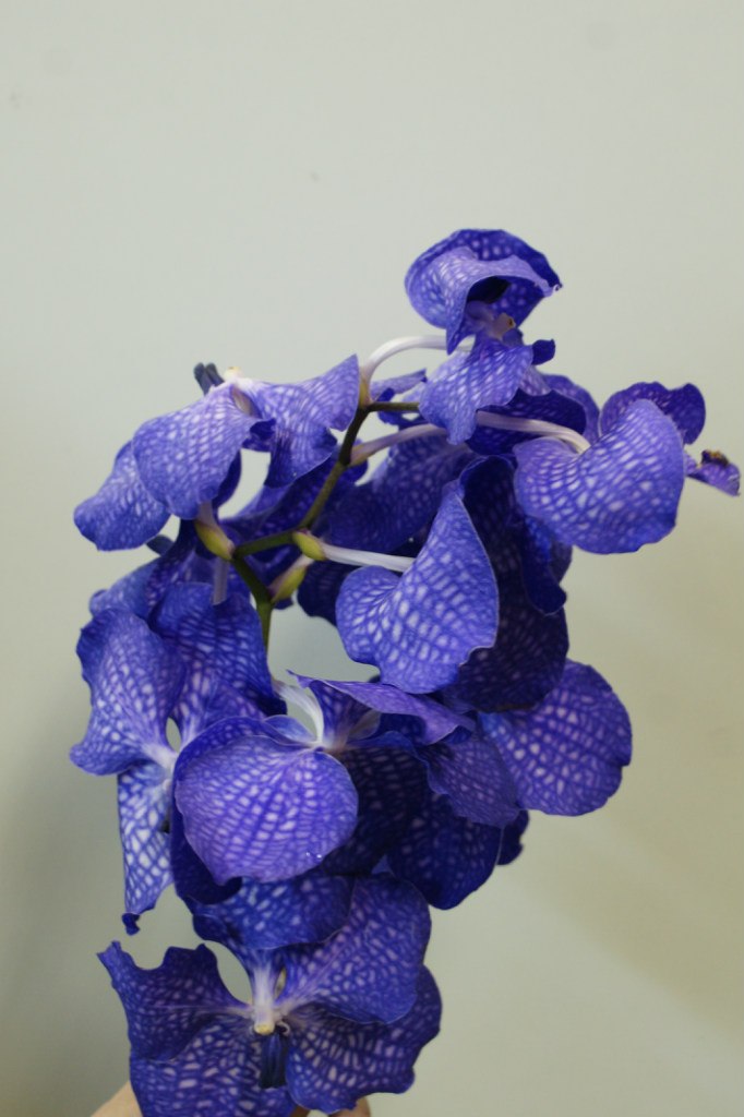 Оксана Башинская | Северодвинск