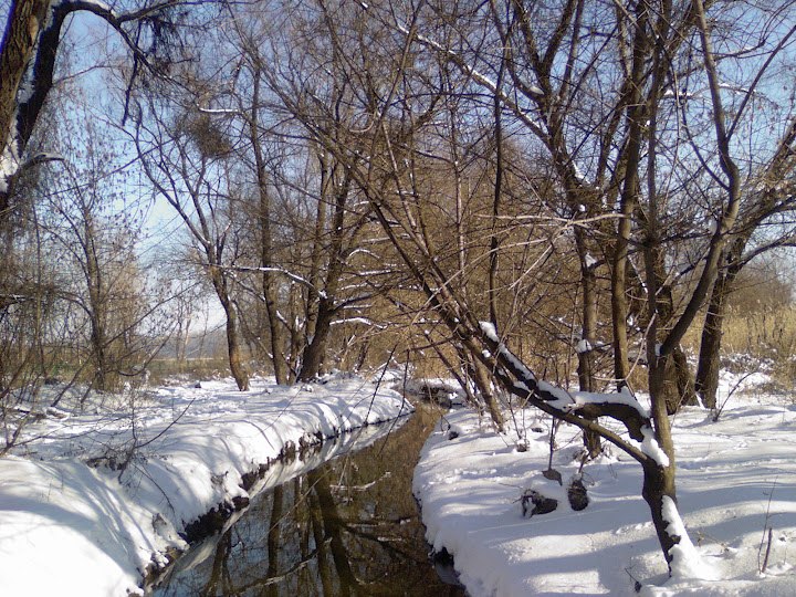 Леся Чабанная | Днепр (Днепропетровск)