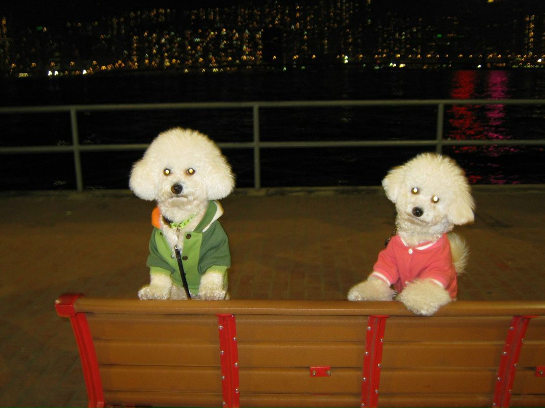 Юлия Лютый | 