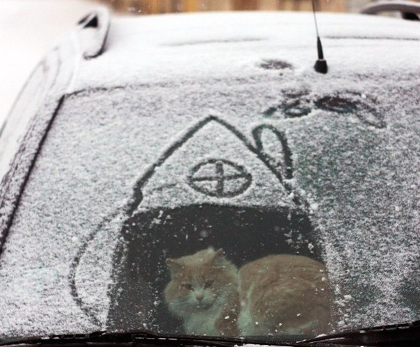 Гриша Горбач | 