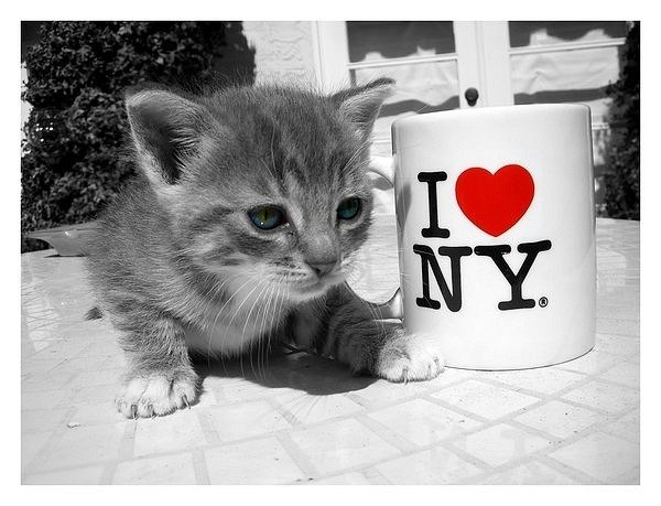 Настена Зырянова | Красноярск