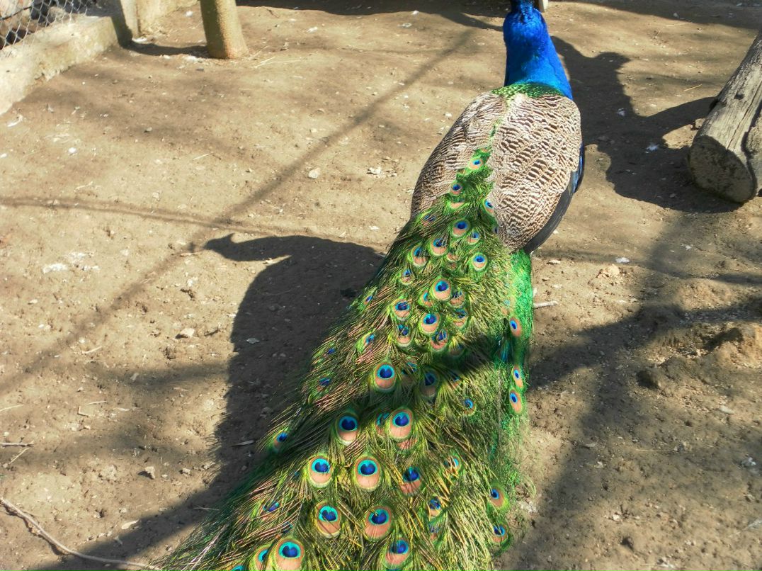 Инна Марченко | Измаил