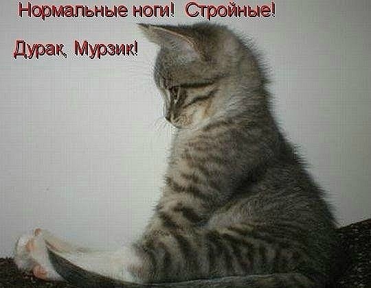 Евгения Гордиенко | Херсон