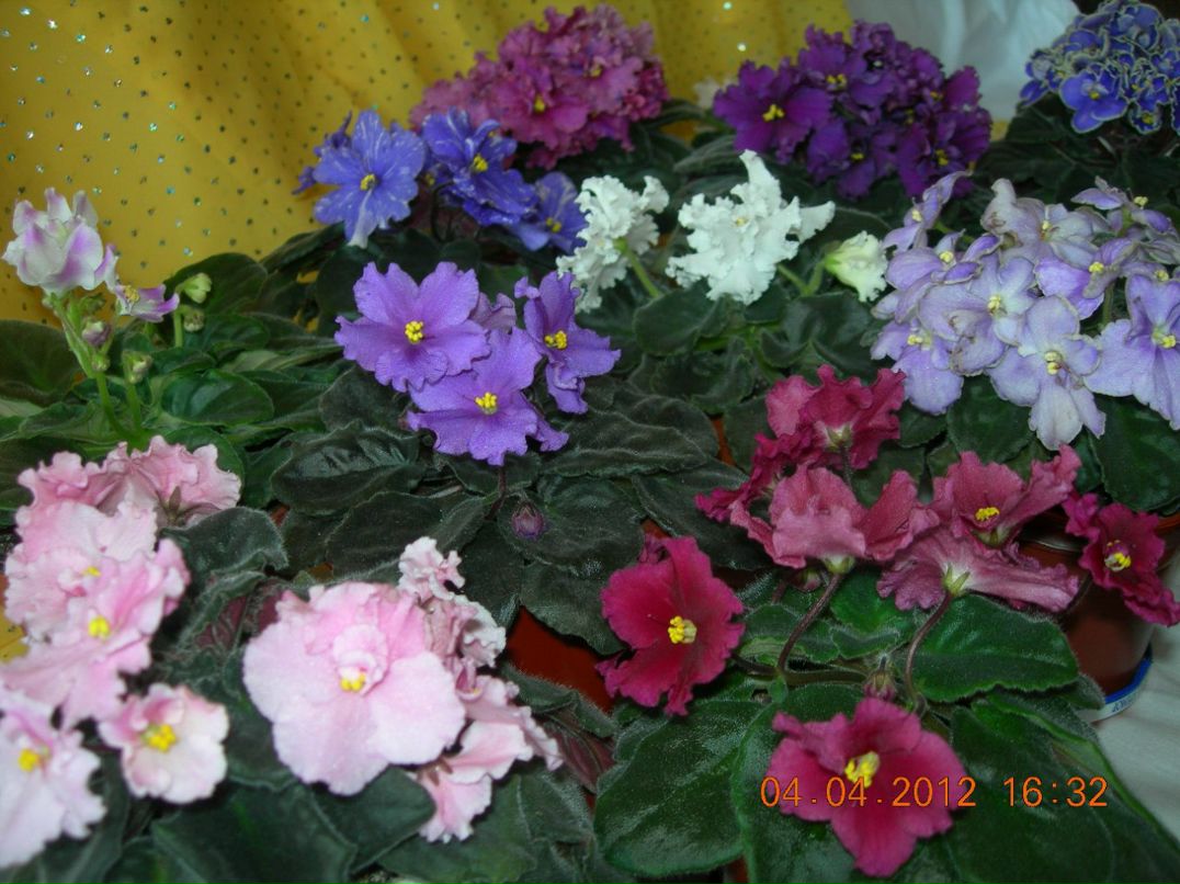 Марина Гридина | Днепр (Днепропетровск)