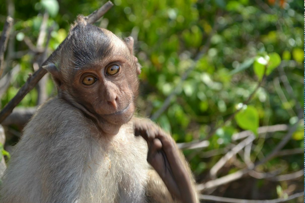 Максим Семенихин | Москва