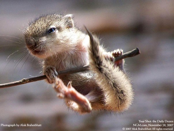 Анна Семёнова | Пермь