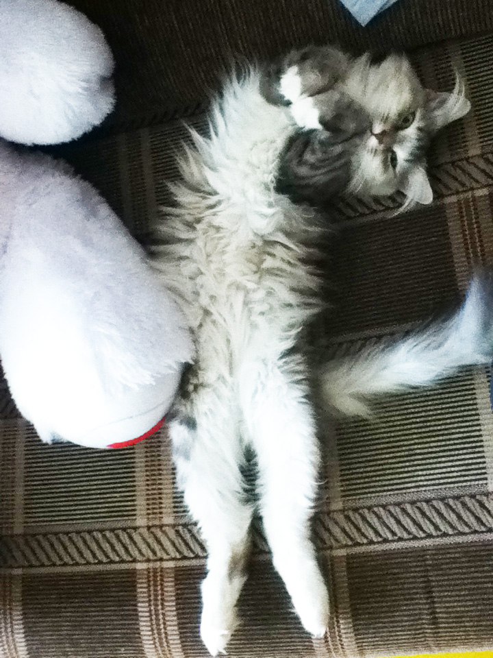 Лиля Муллаянова | Уфа