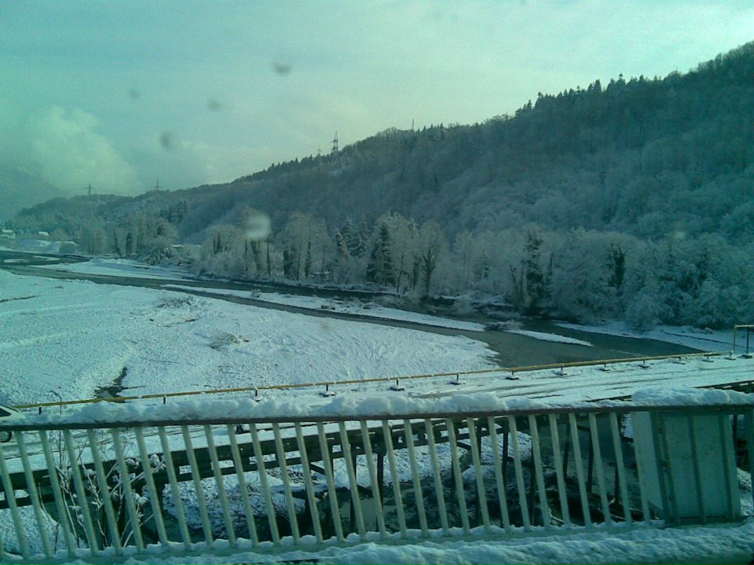 Миша Тороп | Таганрог