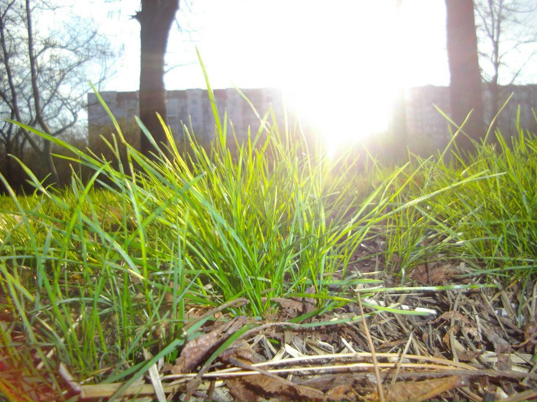 Вера Новосельцева | Одесса