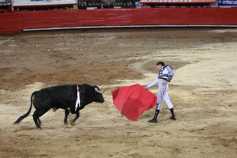 Юлия Качнова | Санкт-Петербург