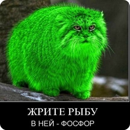 Митя Васильев | 