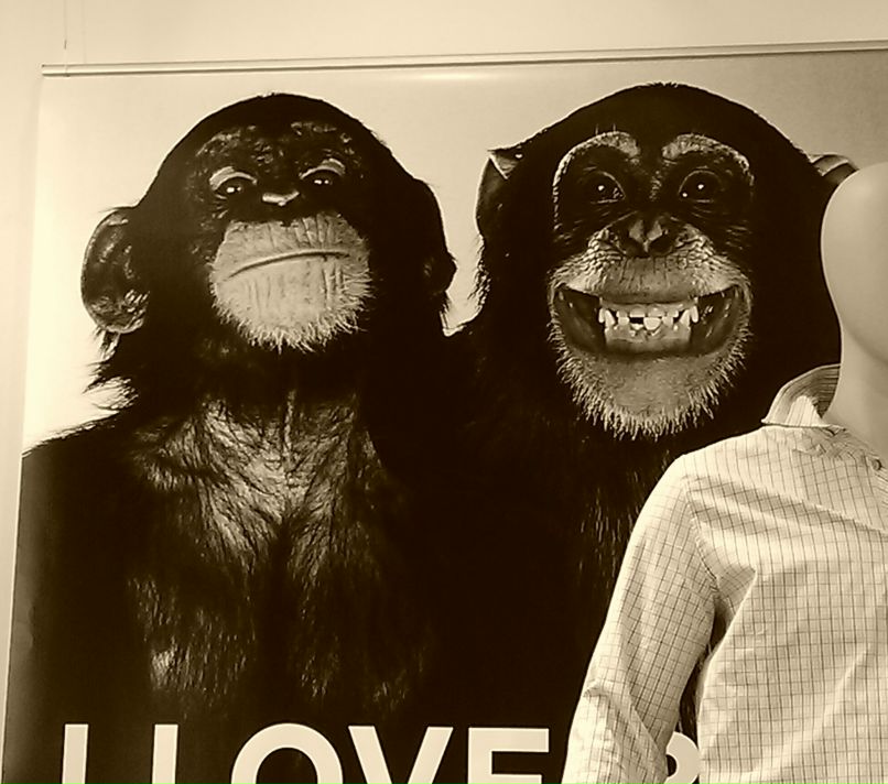 Юлия Шамсутдинова | Набережные Челны