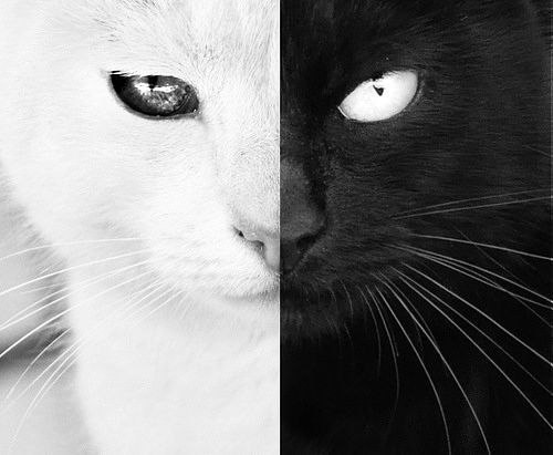 Олеся Александрова | Montego Bay